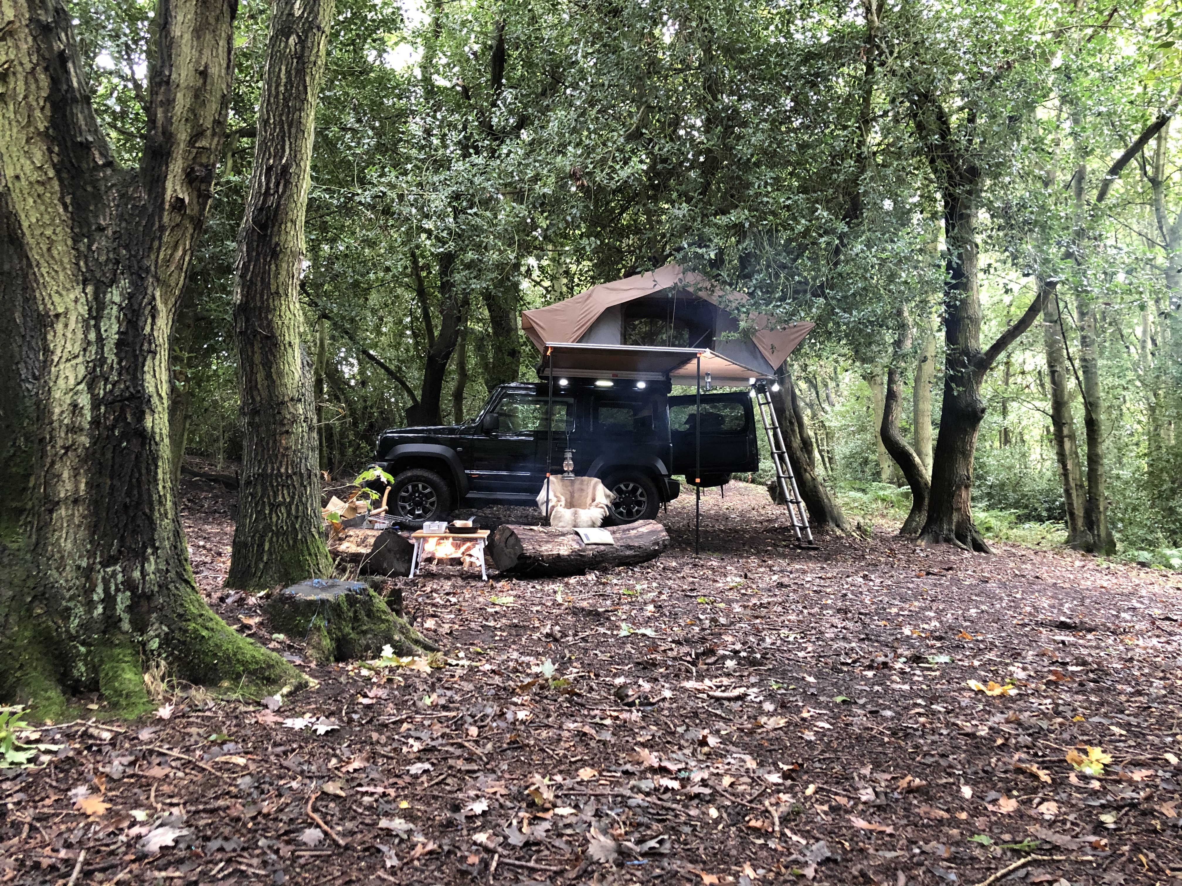 Woods camping
